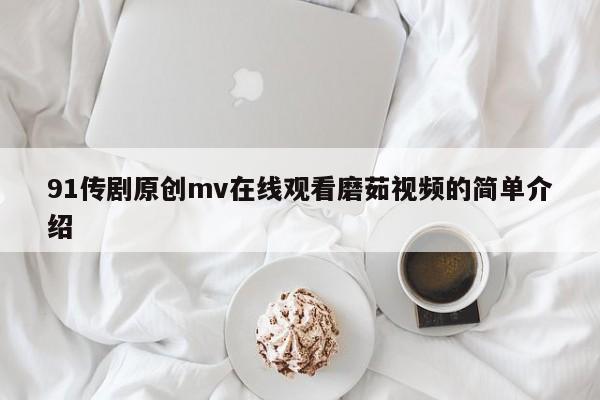 91传剧原创mv在线观看磨茹视频的简单介绍