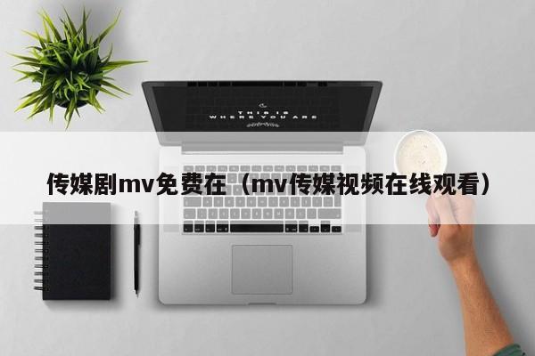 传媒剧mv免费在（mv传媒视频在线观看）
