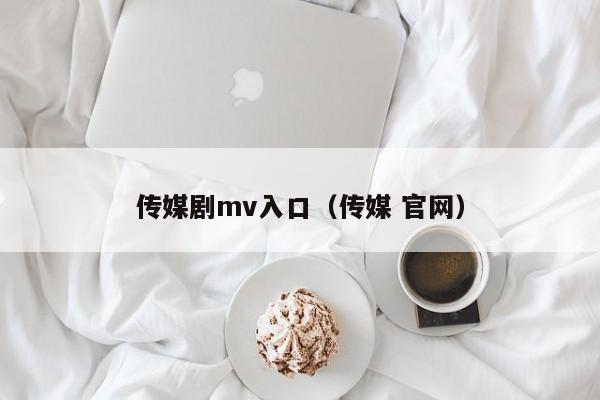 传媒剧mv入口（传媒 官网）